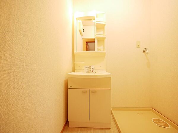 画像11:洗面化粧台、室内洗濯機置き場