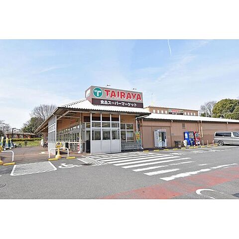 スーパー「TAIRAYA川鶴店まで258ｍ」