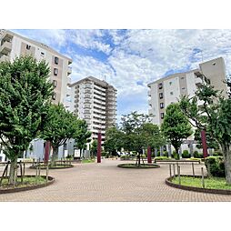 URプラザシティ新所沢けやき通り