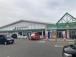 マジョリティ