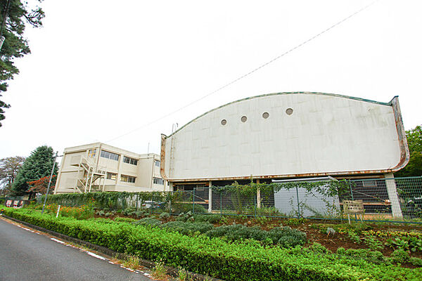 UR常盤平 ｜千葉県松戸市常盤平4丁目(賃貸マンション1DK・4階・30.62㎡)の写真 その15