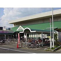 URアクティ北松戸  ｜ 千葉県松戸市上本郷（賃貸マンション2LDK・14階・64.85㎡） その11