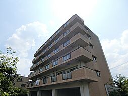 カモミール・ブラン