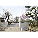 拝島中学校