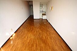 高松琴平電気鉄道琴平線 栗林公園駅 徒歩8分の賃貸マンション 2階ワンルームのリビング/ダイニング