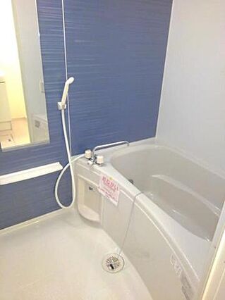 シャンドラ_その他_0