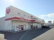 くすりのレデイ坂出南店まで1、100ｍ