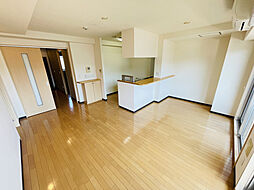 JR可部線 安芸長束駅 徒歩20分の賃貸マンション 4階2LDKのリビング/ダイニング