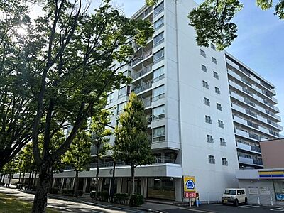 外観 外観