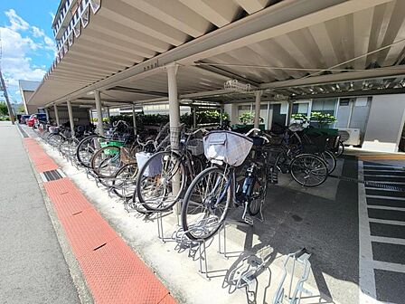 自転車ラックがある駐輪場なので、出し入れしやすくきれいに整理されています。