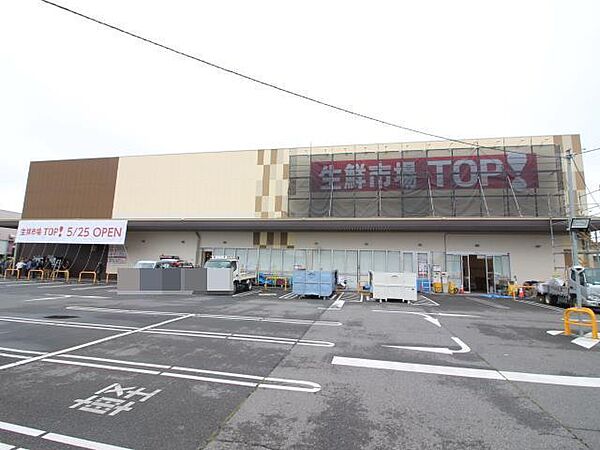 画像22:TOP 流山セントラルパーク店(425m)