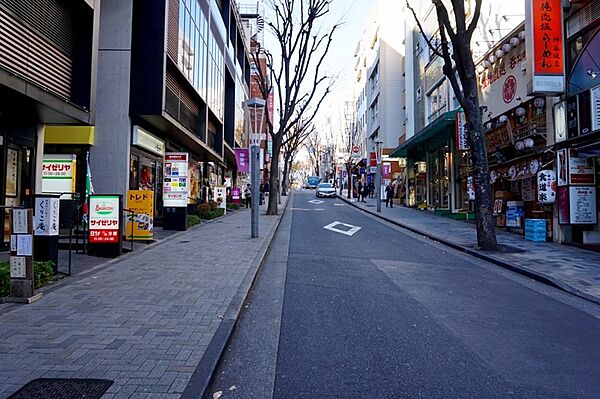 東京都新宿区南山伏町(賃貸マンション2LDK・11階・55.60㎡)の写真 その14