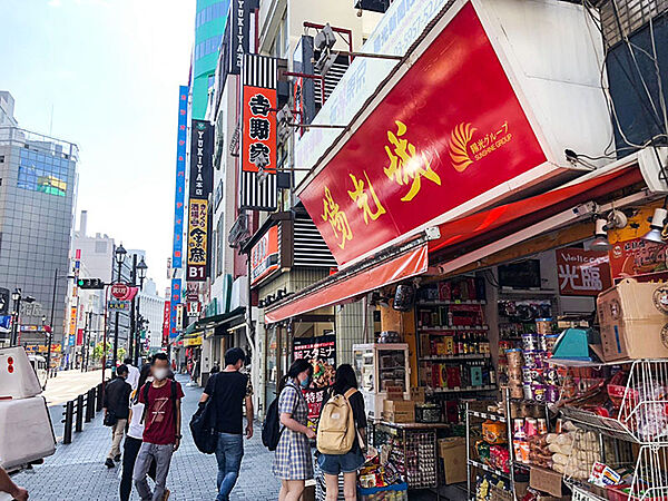 東京都豊島区東池袋１丁目(賃貸マンション1LDK・6階・33.44㎡)の写真 その29