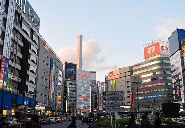 東京都豊島区西池袋３丁目(賃貸マンション1DK・10階・40.83㎡)の写真 その24