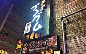 東京都新宿区歌舞伎町２丁目（賃貸マンション1K・10階・25.24㎡） その29