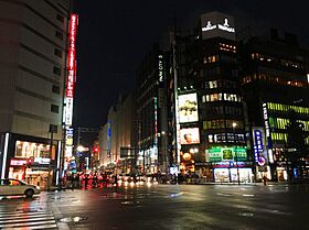 東京都新宿区新宿５丁目（賃貸マンション1K・地下8階・25.23㎡） その25