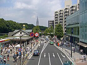 東京都渋谷区千駄ヶ谷３丁目（賃貸マンション1LDK・3階・90.42㎡） その23