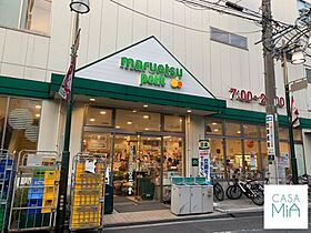 東京都豊島区駒込１丁目（賃貸マンション1K・11階・25.31㎡） その25