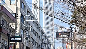 東京都渋谷区本町３丁目（賃貸マンション1DK・12階・33.24㎡） その22