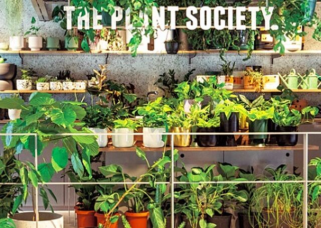 周辺 東京メトロ東西線 木場駅 徒歩9分