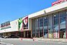 周辺：マナベインテリアハーツ高槻店（1176m）