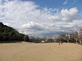 上の池公園（1...