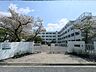 周辺：高槻市立柳川中学校（438m）