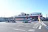 周辺：クスリのアオキ真鍋店 1000m