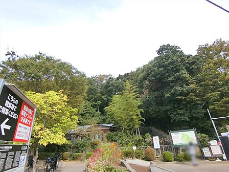 県立 東高根森林公園(450m)