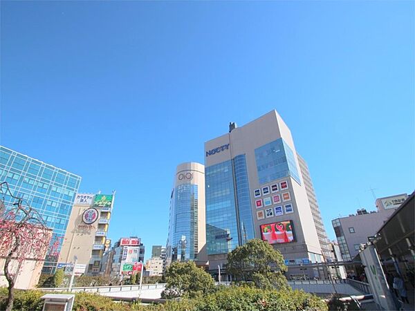 周辺を拡大表示