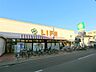 周辺：ライフ高津新作店（529m）