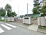 周辺：川崎市立下布田小学校（700m）