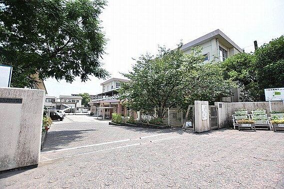 紫原小学校【鹿...