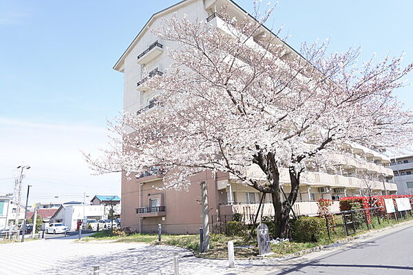 URアーバンラフレ小幡 ｜愛知県名古屋市守山区小幡太田1丁目(賃貸マンション3LDK・5階・74.52㎡)の写真 その16