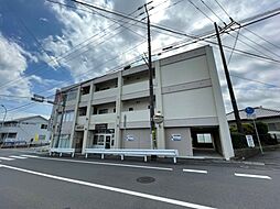 アコール稲秀