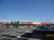 かわねやフェスタ店