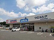 ウエルシアひたちなか市毛店