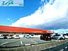 周辺：一号舘江場店 1130m