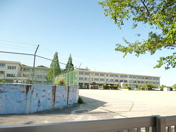 画像14:四日市市立泊山小学校