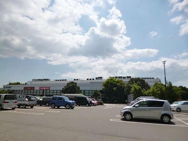 画像18:イオン　大安店