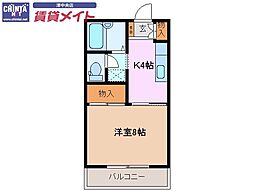 マリンパークハイツＡ棟 2階/-