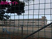 津市立白塚小学校 1531m