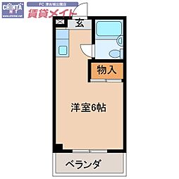 コーポアポロ 2階/-