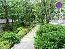 周辺：自然豊かで、ゆっくり散歩ができる公園です。