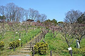 クリプトメリア　アヴェニュ－  ｜ 大阪府河内長野市松ケ丘中町（賃貸アパート1K・1階・32.90㎡） その26