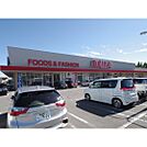 スーパー「オギノ岡谷店まで711ｍ」