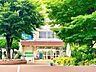 周辺：周辺環境-小学校(560m)葛飾区立細田小学校