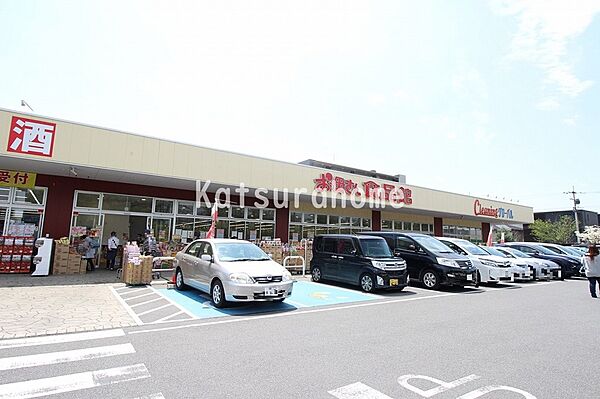 千葉県柏市十余二(賃貸マンション2LDK・1階・49.40㎡)の写真 その23