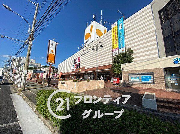 周辺を拡大表示