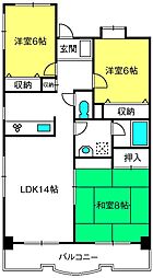 ラフィーネ大宮 5階3LDKの間取り
